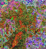Map of Jerusalem