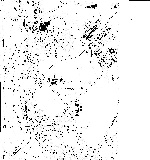 Map of Kashira