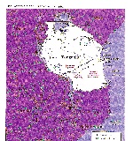 Map of Tanzania