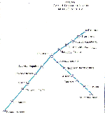 Map of Tashkent