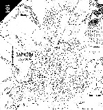 Map of Zaraysk